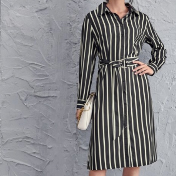Button Down Dress - Picture 4 of 6